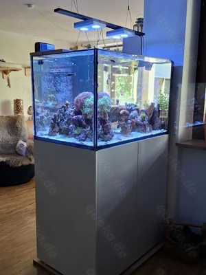 RedSea 350er Peninsula G2+ Aquarium komplett (Technik+Beleuchtung)