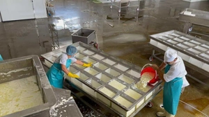 Käserei zu verkaufen Bild 3