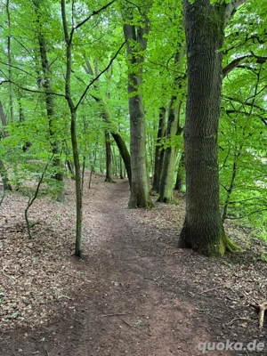 Waldgrundstück 1700qm, für Naturfreunde