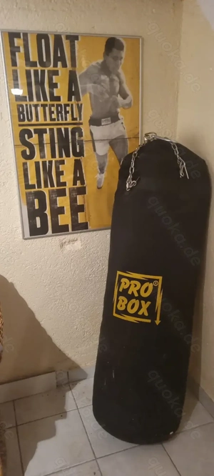 Boxsack Pro Box 120 cm