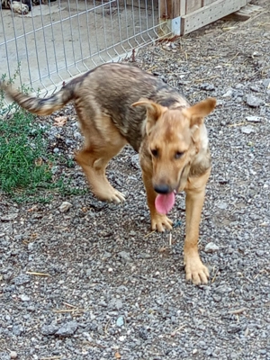 Du gibst mir liebe und ich gebe sie dir zurück.