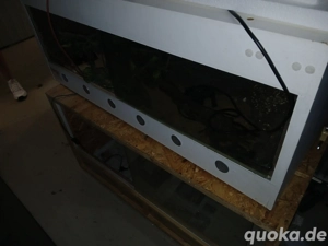 Weißes Holz Terrarium 