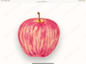 Äpfel verschiedene Sorten ungespritzt zu verkaufen Kilo 1 Euro 