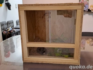 Repiterra Holzterrarium 40x40