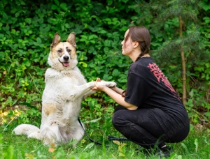 Kann dich Nessie verzaubern ?!