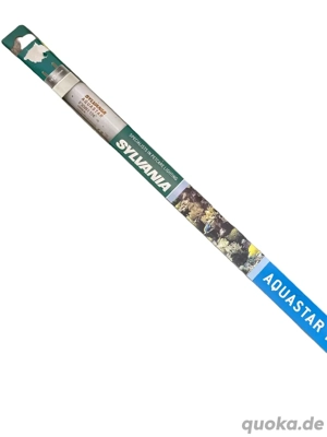 Aquarien - Röhre