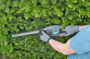 Minijob Garten ab sofort