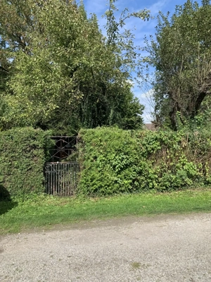 Kleingarten   Schrebergarten