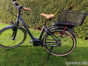 Damen E-bike 