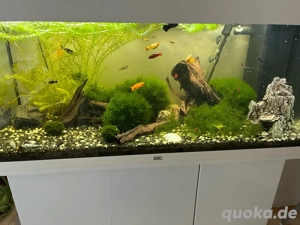 Aquarium Juwel 