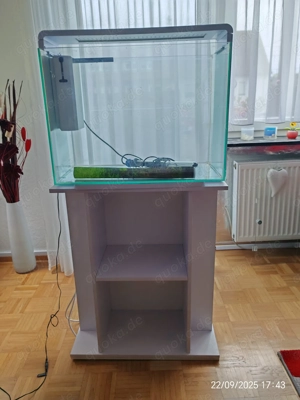 Aquarium 80 L mit Unterschrank Bild 5