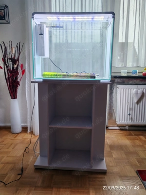 Aquarium 80 L mit Unterschrank Bild 4