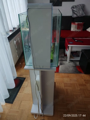 Aquarium 80 L mit Unterschrank Bild 7