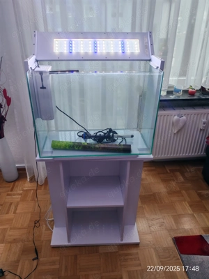 Aquarium 80 L mit Unterschrank Bild 3
