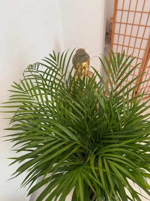 Zentral und ruhig - Bewegungsraum in der Südstadt Bild 8