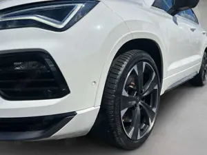 CUPRA Ateca 2.0 TSI 4Drive DSG VZ *AHK* Bild 4