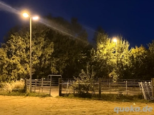 Offenstallplatz frei, Offenstall mit befestigten Paddock Flächen