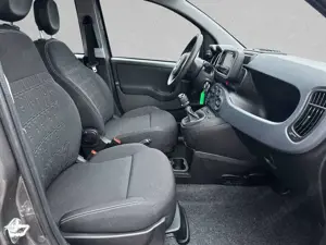 Fiat Panda 1.0 GSE Hybrid Bild 3