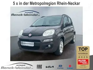 Fiat Panda Lounge 1.2 8V 51kW (69PS) DAB Tel.-Vorb. PDC Berga