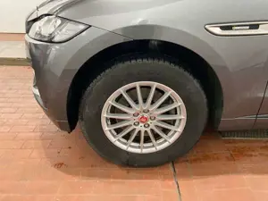Jaguar F-Pace F-PACE R-Sport 30d AWD Automatik*Leder*Xenon* Bild 5