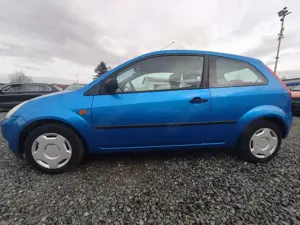 Ford Fiesta Viva X Bild 3