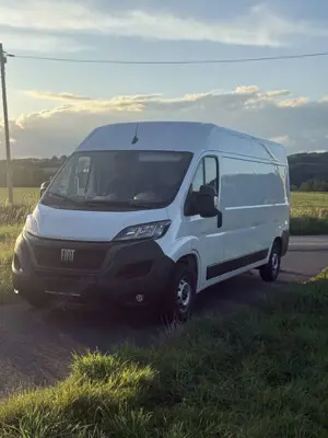 Fiat Ducato L4H2 Bild 5