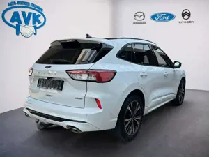 Ford Kuga Plug-In Hybrid ST-Line X mit AHK schwenkbar Bild 3