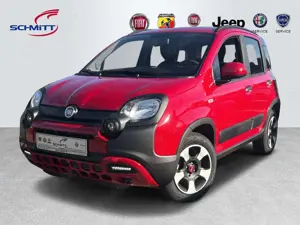 Fiat Panda Pandina Cross