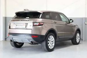 Land Rover Range Rover Evoque SE~Navi~SZH~Tempomat~Panorama Bild 2