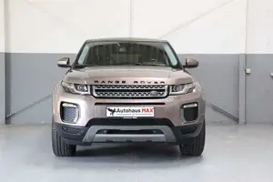Land Rover Range Rover Evoque SE~Navi~SZH~Tempomat~Panorama Bild 5