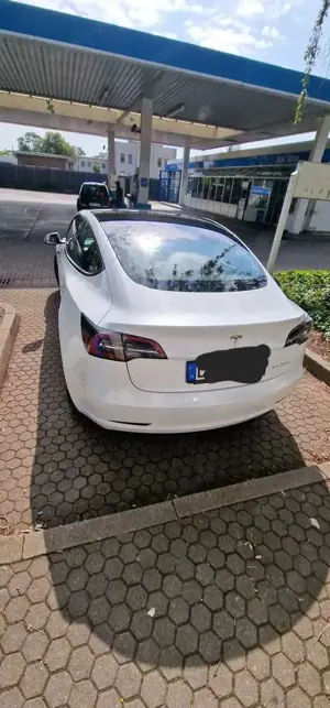 Tesla Model 3 Langstreckenbatt. Allradantrieb Dual Motor Perform Bild 5
