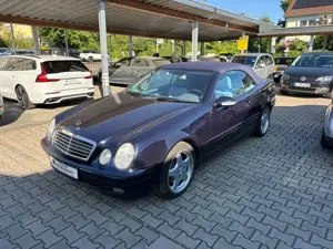 Mercedes-Benz CLK 320 Cabrio Avantgarde