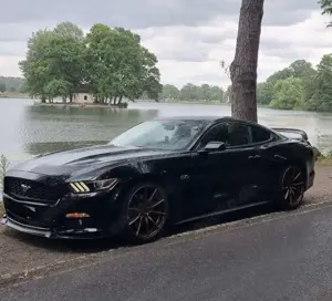 Ford Mustang 5.0 Ti-VCT V8 GT Bild 2