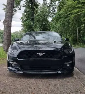 Ford Mustang 5.0 Ti-VCT V8 GT Bild 4