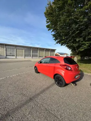 Ford Ka/Ka+ Ka 1.2 Trend Bild 2