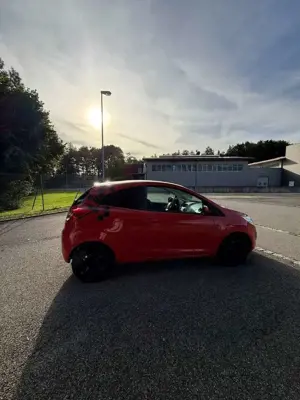 Ford Ka/Ka+ Ka 1.2 Trend Bild 4