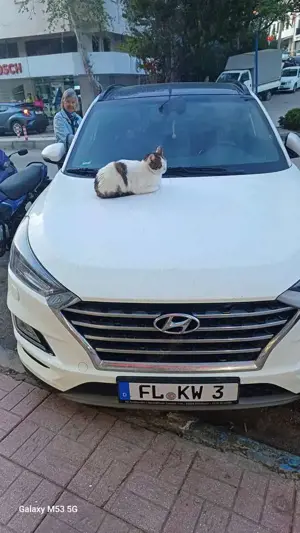 Hyundai TUCSON Tucson blue 1.6 CRDi 4WD DCT Trend