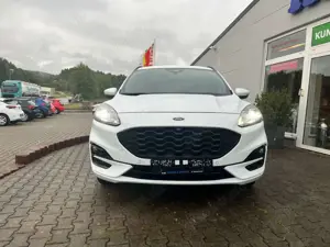Ford Kuga ST-Line AHK Kamera Navi Standheizung Bild 2