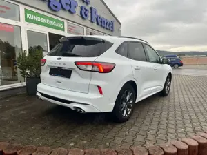 Ford Kuga ST-Line AHK Kamera Navi Standheizung Bild 4