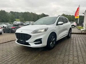 Ford Kuga ST-Line AHK Kamera Navi Standheizung Bild 3