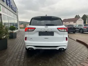 Ford Kuga ST-Line AHK Kamera Navi Standheizung Bild 5