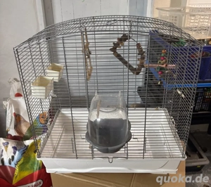 Vogelkäfig mit Spielsachen