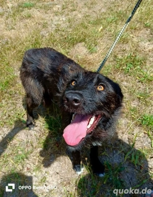 Unsere bildhübsche ROSEANNE    eine tolle Begleiterin