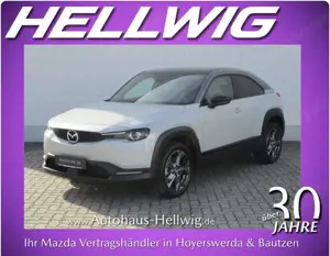 Mazda MX-30 e-SKYACTIV Advantage Teilleder Matrix-LED 1.Hand