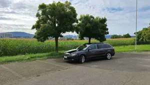 Skoda Superb Superb Combi 2.0 TDI DSG Ambition Bild 2