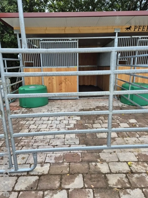 Paddockbox zu vermieten 