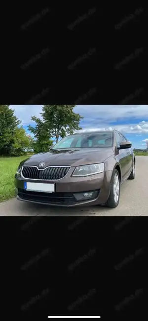 Skoda Octavia Octavia Combi 2.0 TDI Green tec 4x4 Elegance