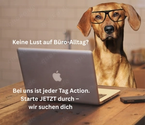 Büro Assistenz (m w d) Remote   Back Office Assistent (m w d)