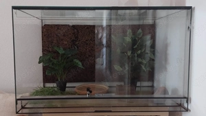 Terrarium aus Glas 100 x 60 x 60 mit Schiebescheiben