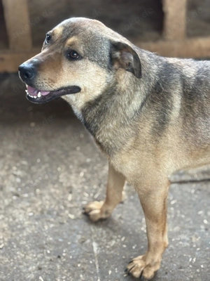 Malu K ca. 48 cm   möchte nicht eine von vielen sein